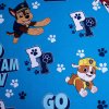 212009 1 7938 4 paw patrol 161
