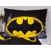 218936 2 10227 2 povleceni batman the emblem 3 dadka vracov
