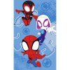 2319 1 spidey pavouci sila