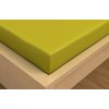 71521 prosteradlo bavlnene napinaci 90x200cm svetle zelene