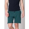 Pánske šortky John Frank JFSH01