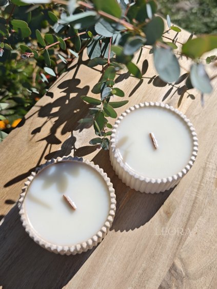 Sójová sviečka | Citrónová tráva a zázvor SKLADOM