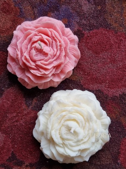 Pivónia sójová sviečka