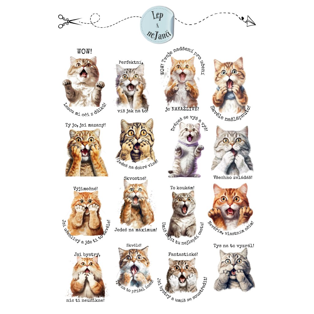 SAMOLEPKY KOČKY MOTIVACE ZŠ KLUCI