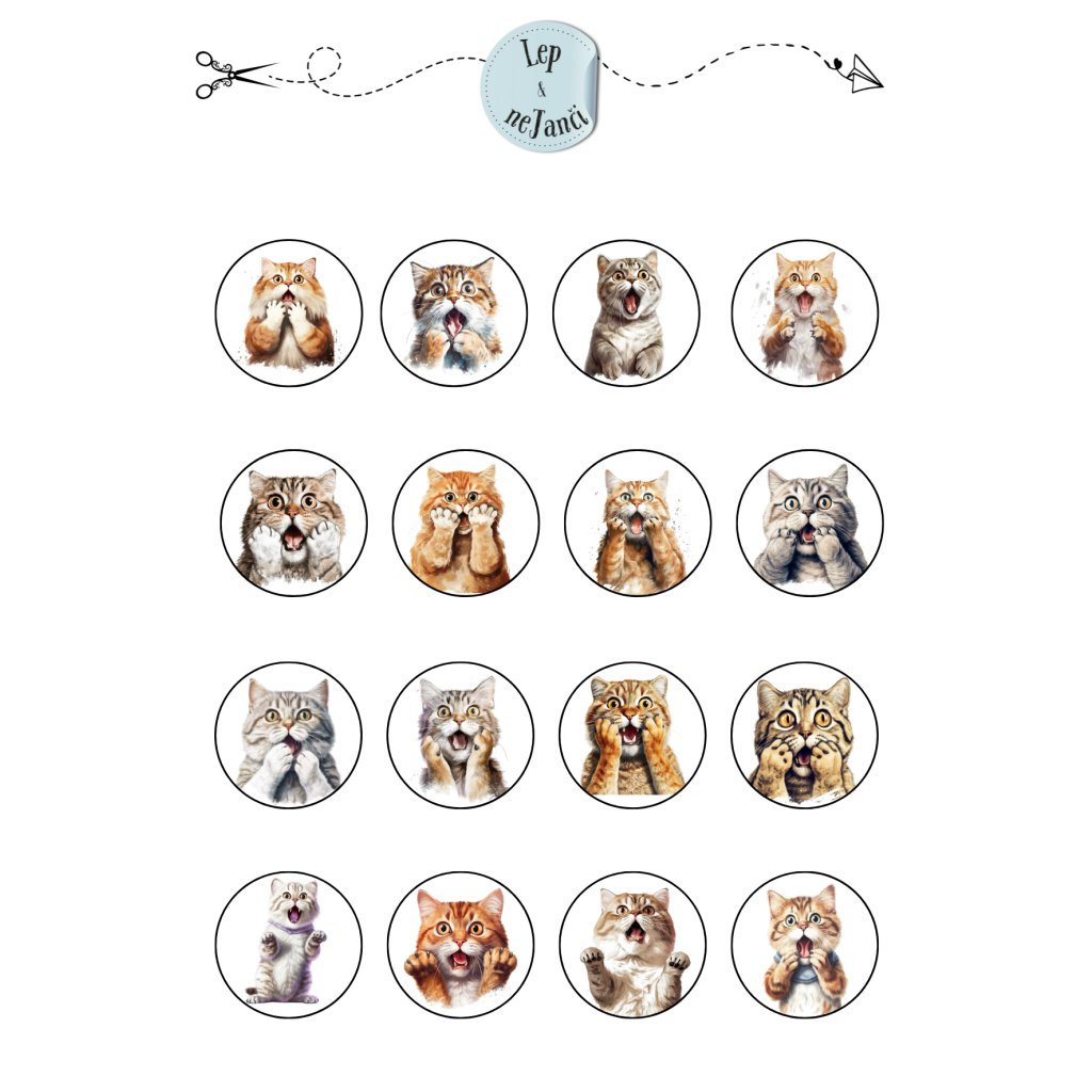 SAMOLEPKY KOČKY MOTIVACE ZŠ 1
