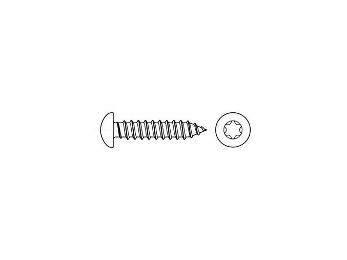 Skrutka samorezná TORX DIN 7981C 3,9x38 pozink