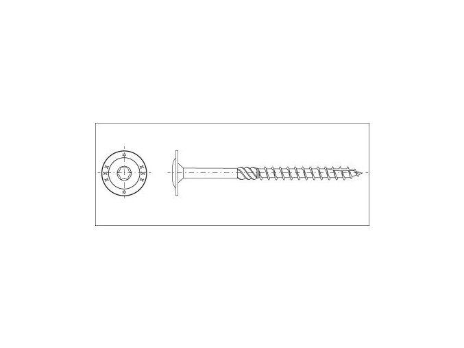 Vrut konštrukčná tanierová hlava TORX30 6,0x050 zinok biely