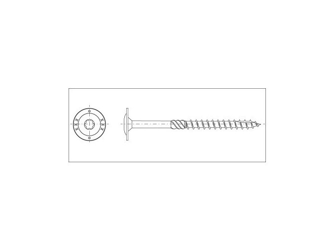 Vrut konštrukčná tanierová hlava TORX30 6,0x080 zinok biely