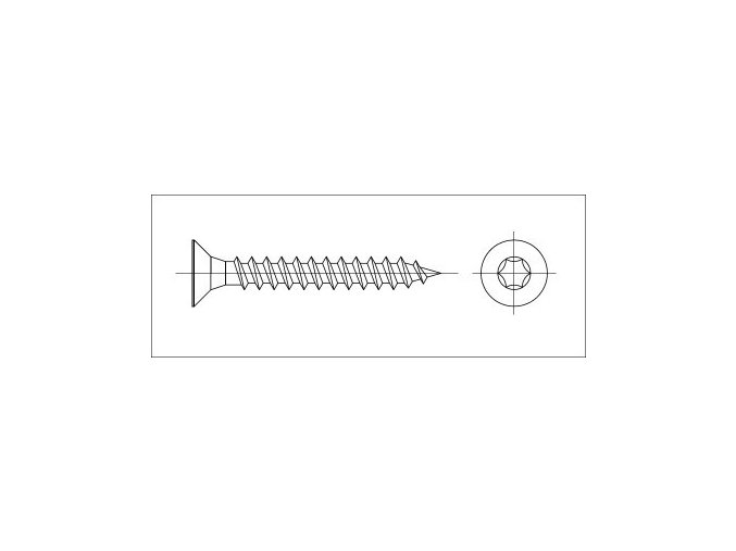Vrut zápustná TORX 4x45 nerez A2