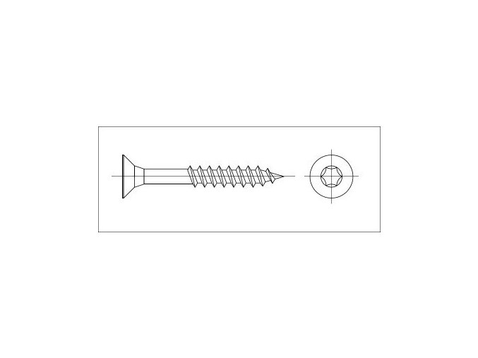 Vrut zápustná TORX 5x55/36 nerez A2 s reznou ryhou na špičke