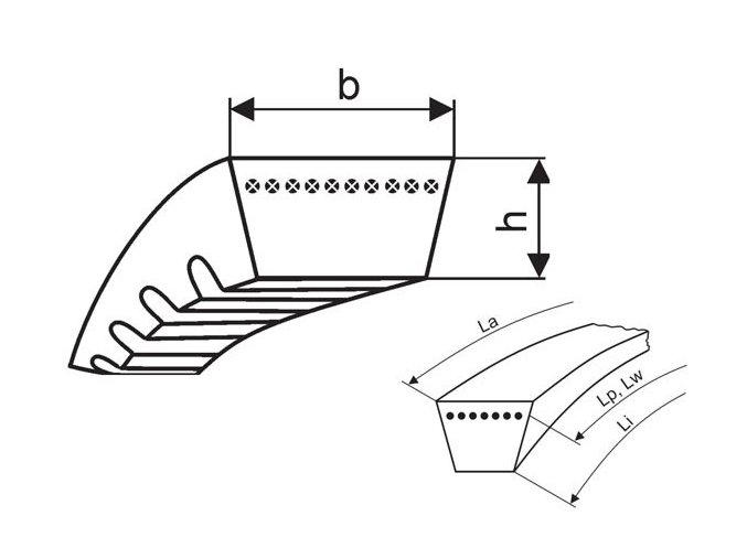 Variátorový remeň 33x10x1123 Li - W31,5 1170 Lw VariMP-X Rubena