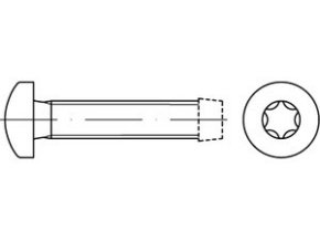 Skrutka závitotvorná TORX DIN 7500C M3x10 pozink