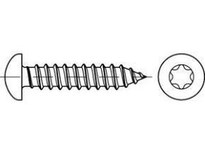 Skrutka samorezná TORX DIN 7981C 2,9x13 pozink