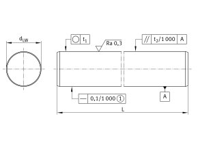 INA W 10 H6-CF53 1000 mm vodiaca tyč