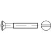 Skrutka šošovková hlava - drážka DIN 964 M5x10 mosadz