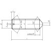Skrutka stavacia s hrotom-drážka DIN 553 M2,5x6