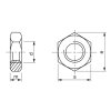 Matica nízka DIN 439B M20x2,00 |04|