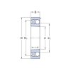 SKF 1311 EKTN9/C3 naklápacie guličkové ložisko