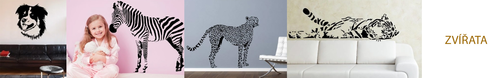 Divoká zvířata z celého světa