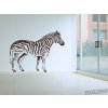 Zebra (Barva 070 - Černá, Velikost 70x50cm, Varianta Levá)