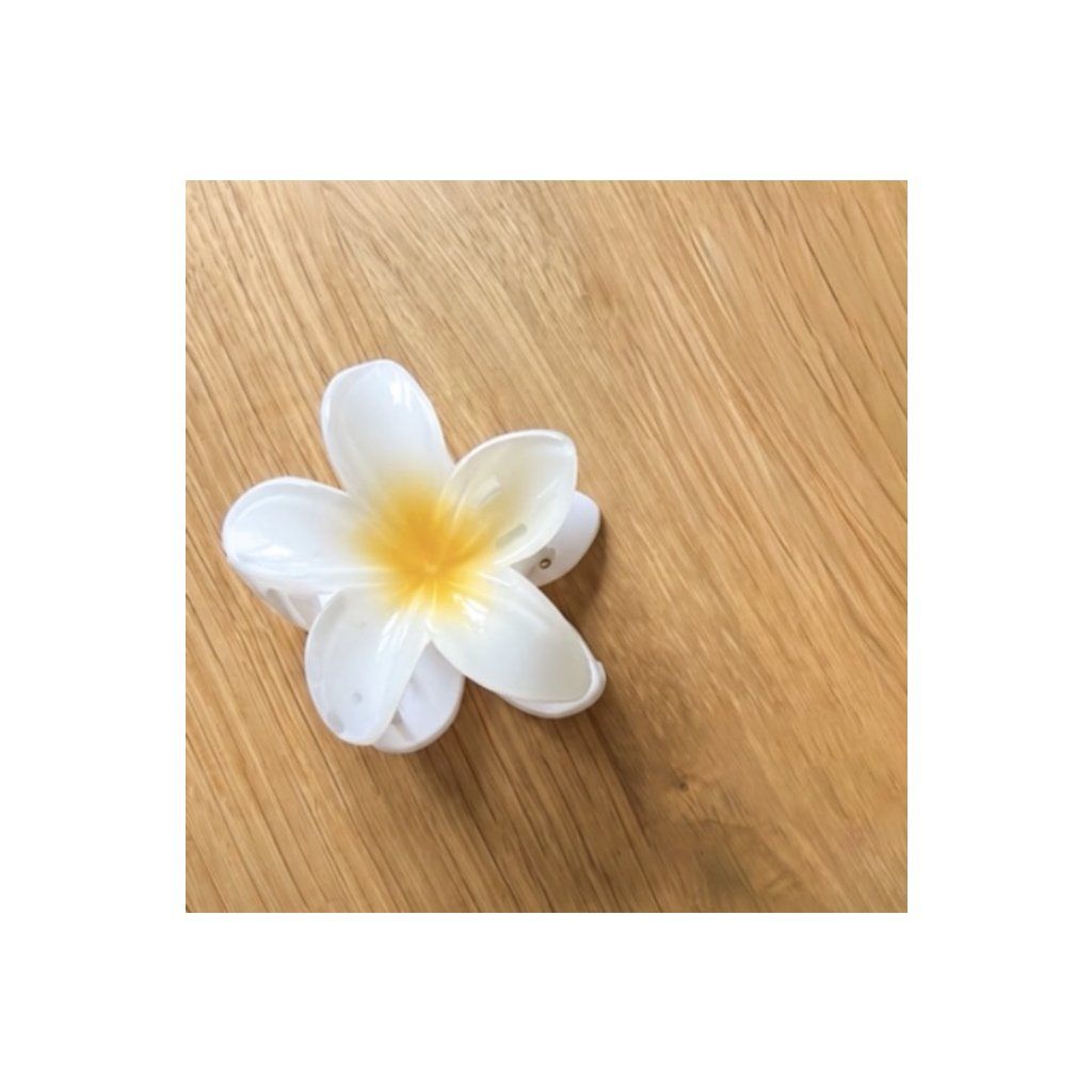 Horská orchidea štipec do vlasov