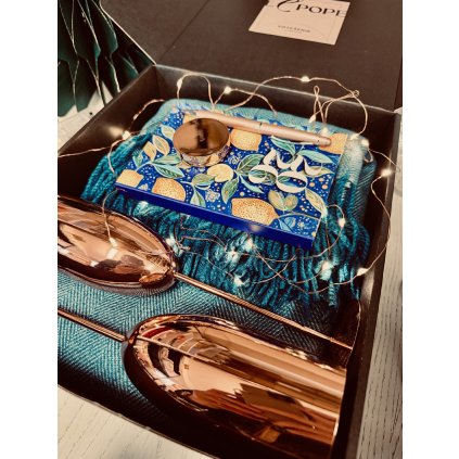 Vianočný ŠtedroBox Blue Jungle home