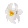 Horská orchidea štipec do vlasov