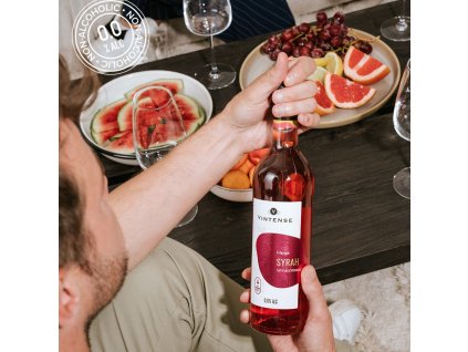 VINTENSE CEPAGE 75CL SYRAH
