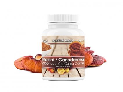 Reishi Ganoderma AKTUÁLNÍ