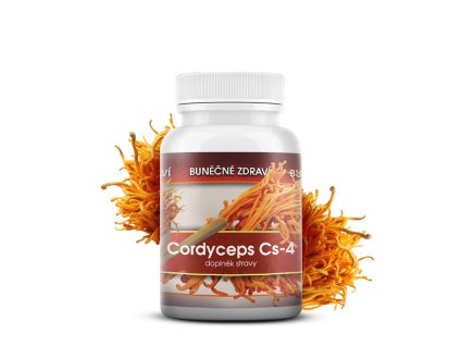 cordyceps