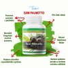 SAW PALMETTO 1