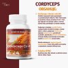 CORDYCEPS 2