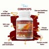 cordyceps 1