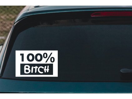 naauto 107 100% bitch 80
