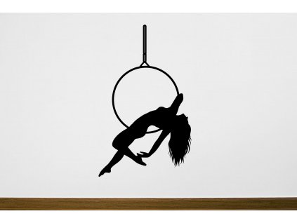 nazed 1943 aerial hoop 80