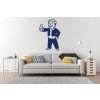nazed 2423 vault boy 80