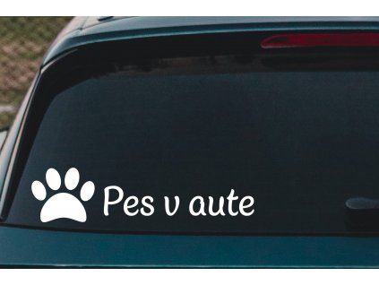 naauto 148 pes v aute SK 80