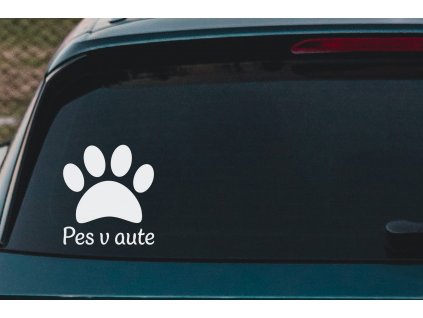 naauto 149 pes SK 80