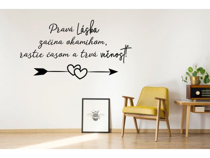 nazed 2288 prava laska SK 80