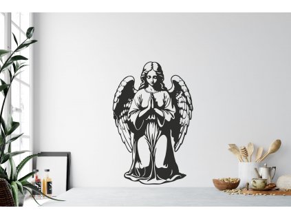 nazed 2403 andelicek 80