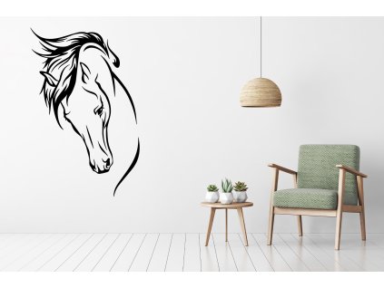 nazed 1369 kun cerna70 80