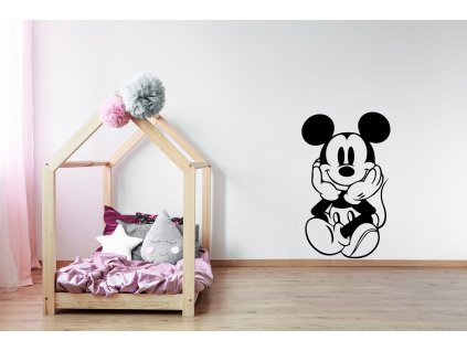 nazed 1051 mickey mouse cerna70 80