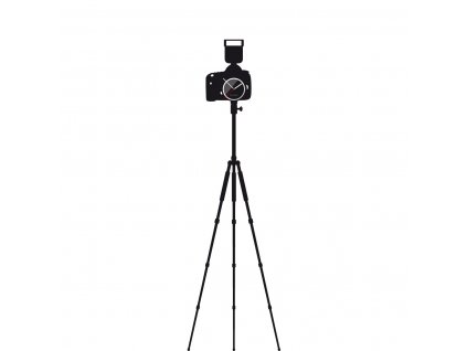 camera with tripod 1200