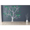 Samolepka na zeď Strom s rámečky (Kombinace barev Nugátová + světle zelená, Velikost kmene (bez listů) 105x109cm, Velikost rámečků Bez rámečků)