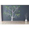 Samolepka na zeď Strom s rámečky (Kombinace barev Nugátová + světle zelená, Velikost kmene (bez listů) 105x109cm, Velikost rámečků Bez rámečků)