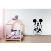 nazed 1051 mickey mouse cerna70 80