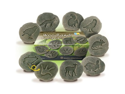 1803 stopy lesne zvieratka