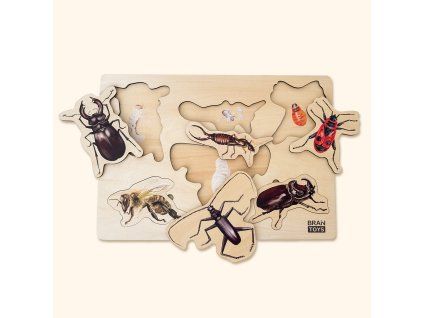puzzle hmyz2