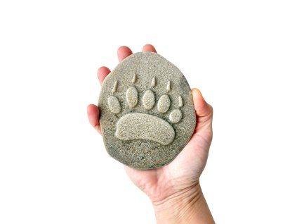 forest nature track 2