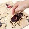 puzzle hmyz3